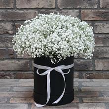 Цветочная композиция из Гипсофила в шляпной коробке в Раздольном Ставропольского края