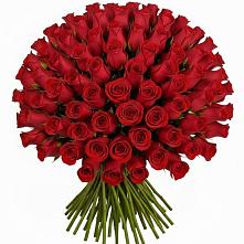 Букет Красные розы Чери Лав #REPLACE_PRED# Раздольном Ставропольского края